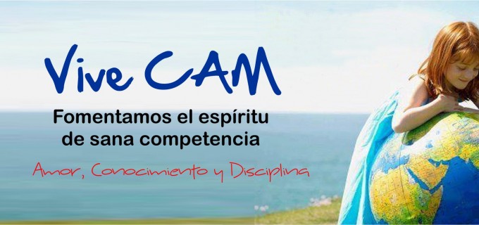 vive cam